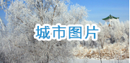 城市圖片.png